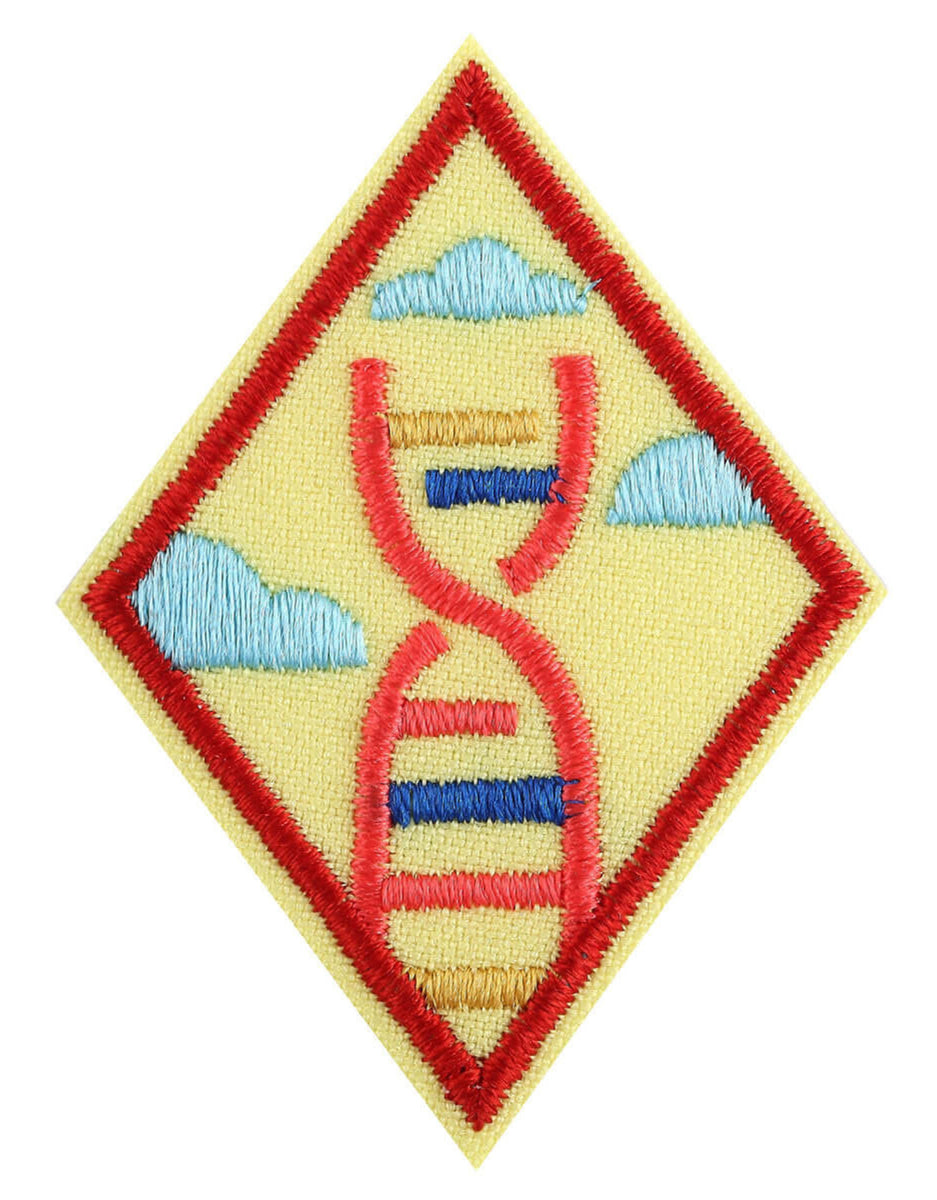 Cadette STEM Career Exploration Badge Overseas Girl Scout World Shop
